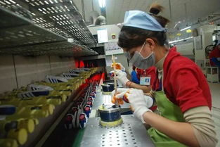 400億美元投資注入，柬埔寨住宿服務(wù)業(yè)迎巨變