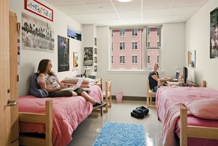 高校住宿服務(wù)回歸純粹，河北新規(guī)禁止公寓有償服務(wù)與住宿捆綁